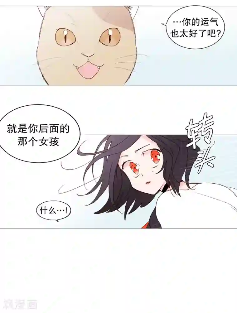 动物灵魂管理局第117话 小女孩