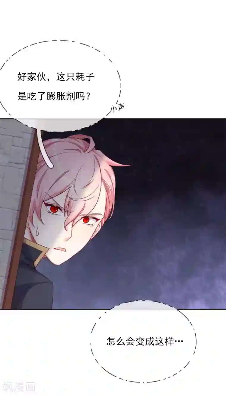 云想之歌-追爱指令第58话 终于相见