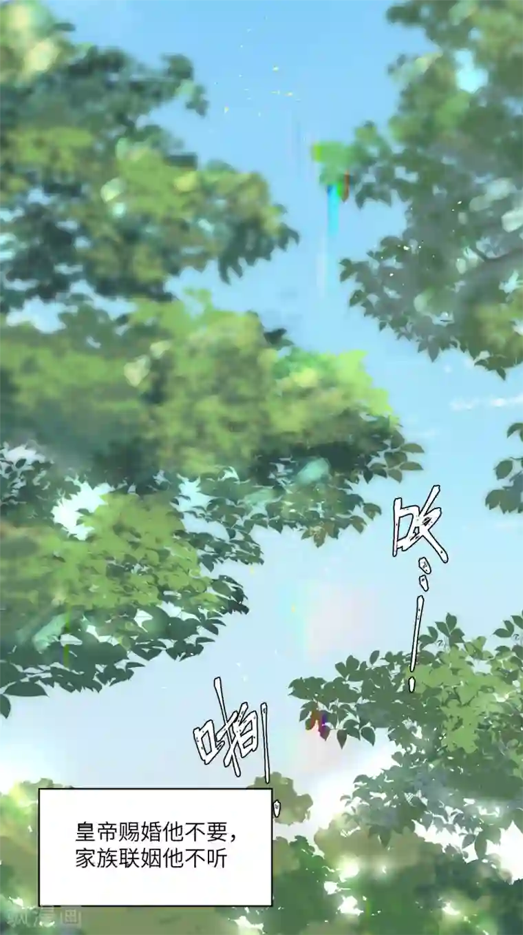 炮灰公主想苟到最后第6话 比武招媳妇