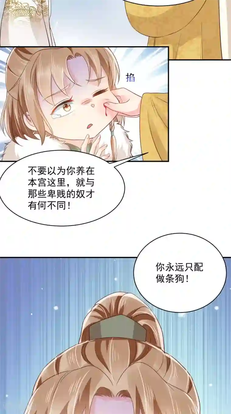 痴傻毒妃不好惹第132话 凤兰翌.步步误