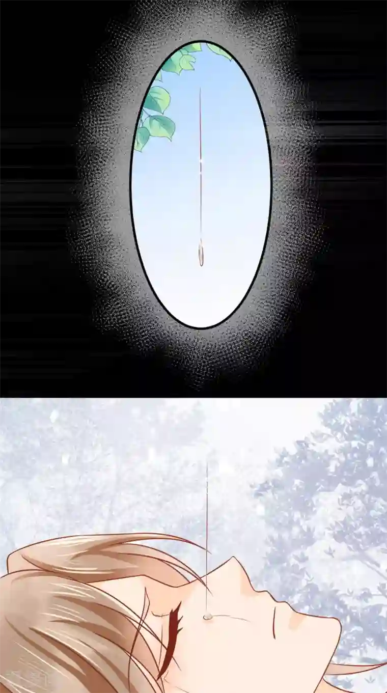 痴傻毒妃不好惹第132话 凤兰翌.步步误