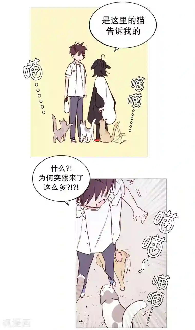 动物灵魂管理局第119话 背后灵