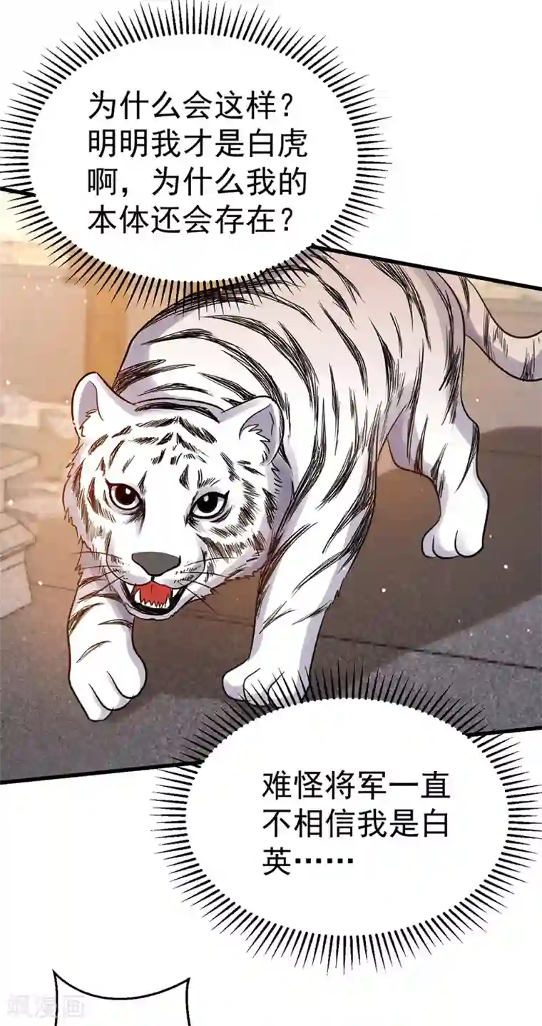 萌虎重生：将军大人要抱抱第11话 第二只虎