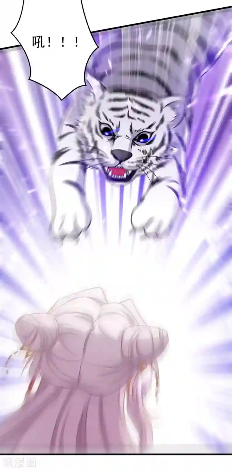 萌虎重生：将军大人要抱抱第11话 第二只虎