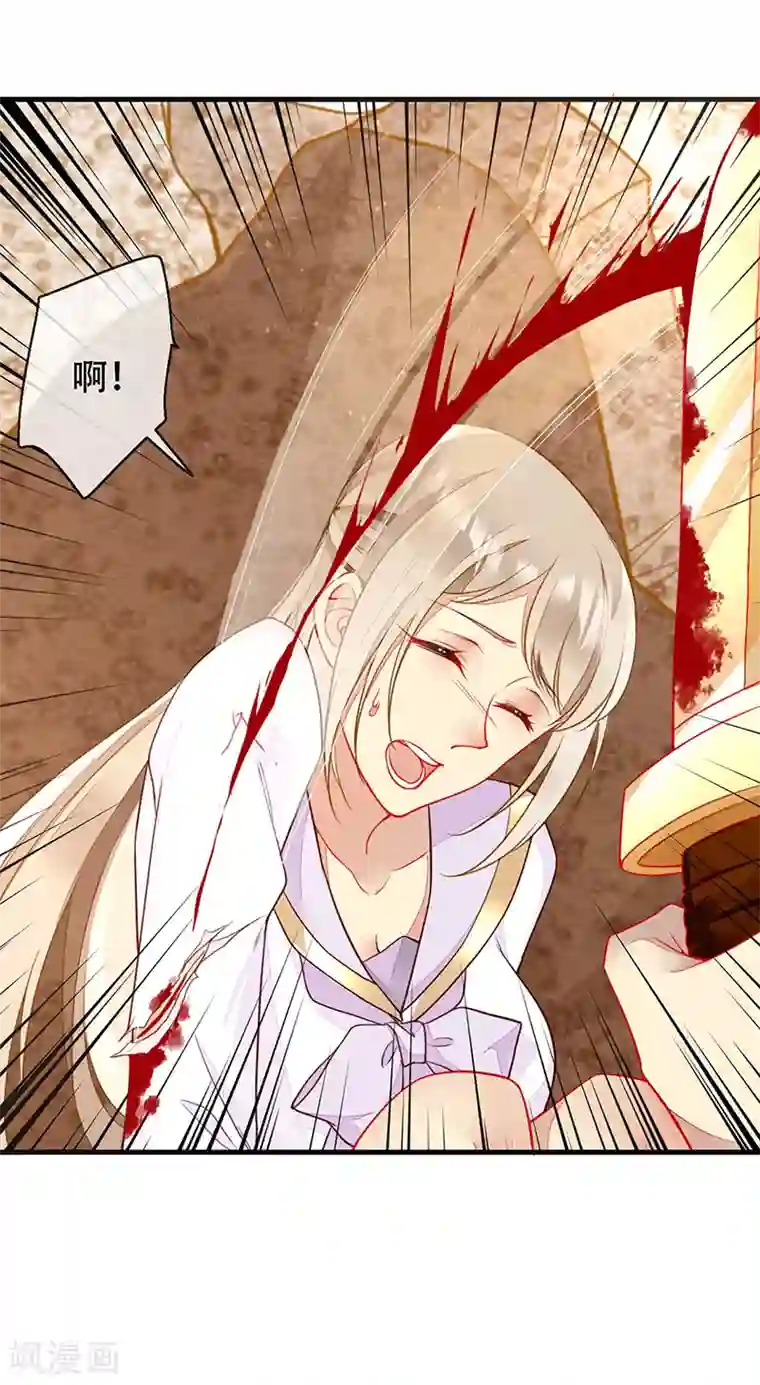 暗夜甜宠：误惹第一恶魔第77话 将血族一网打尽