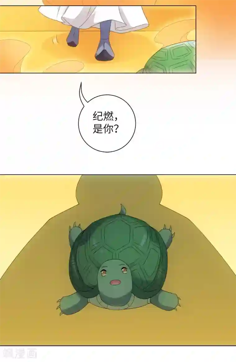 今天也没变成人第106话 我又升仙了