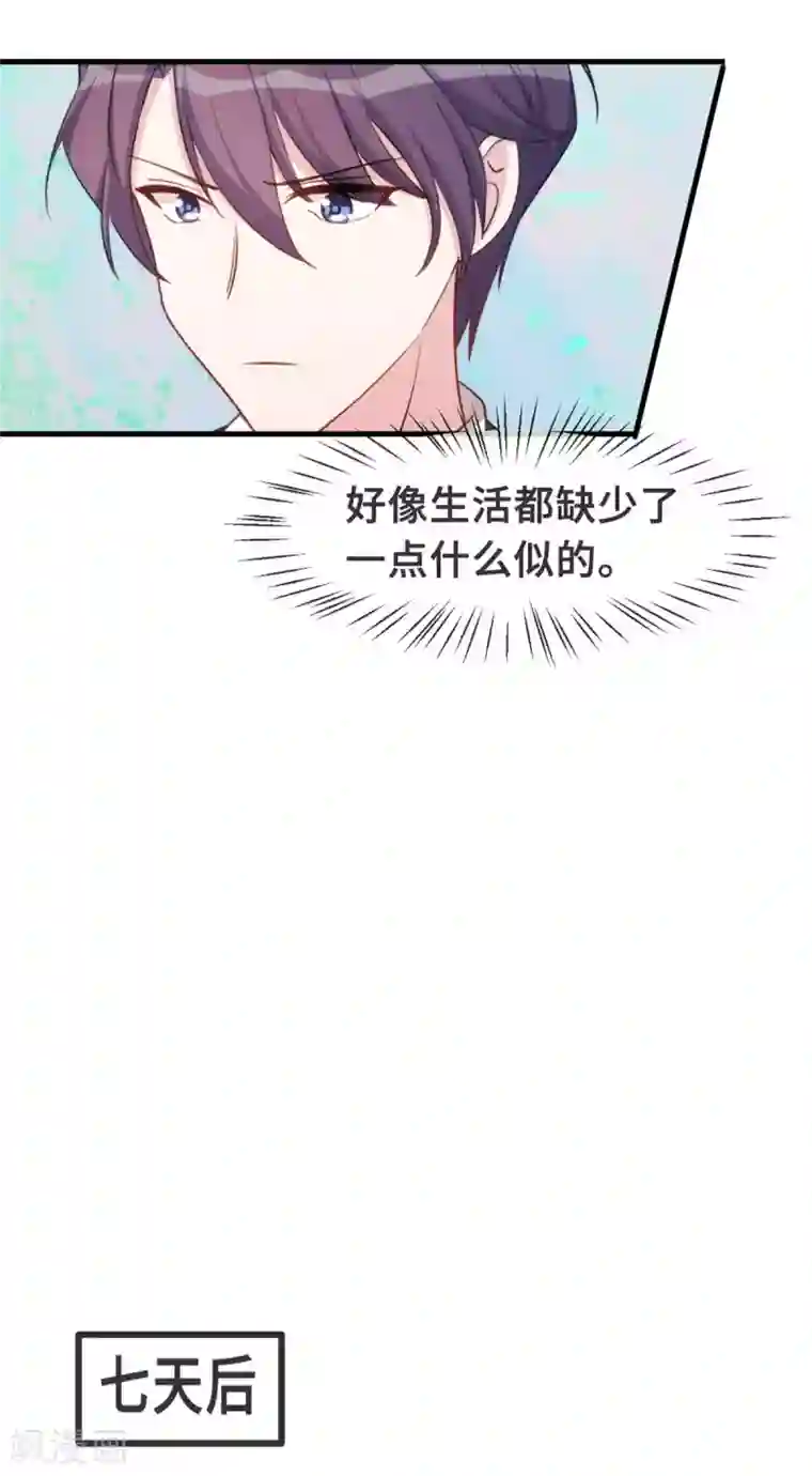 小白的男神爹地第99话 小白的愤怒