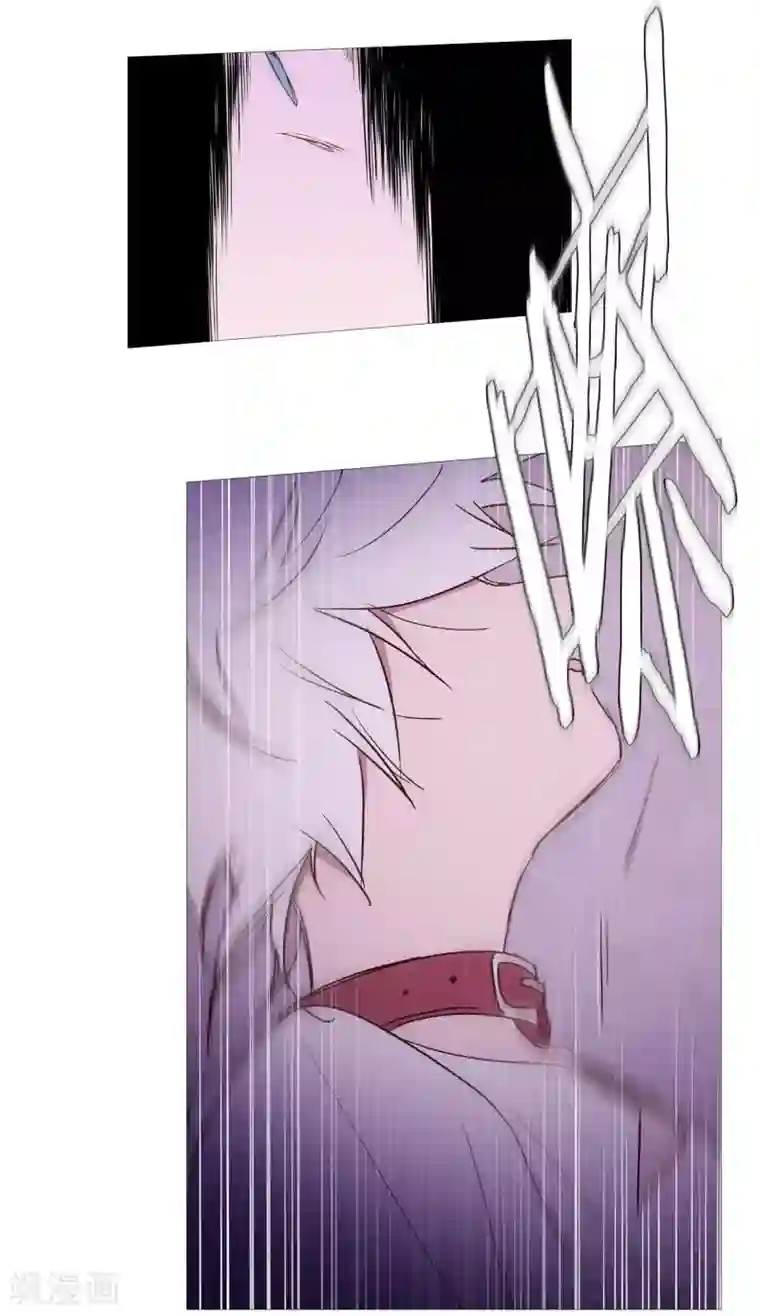 动物灵魂管理局第121话 吞噬