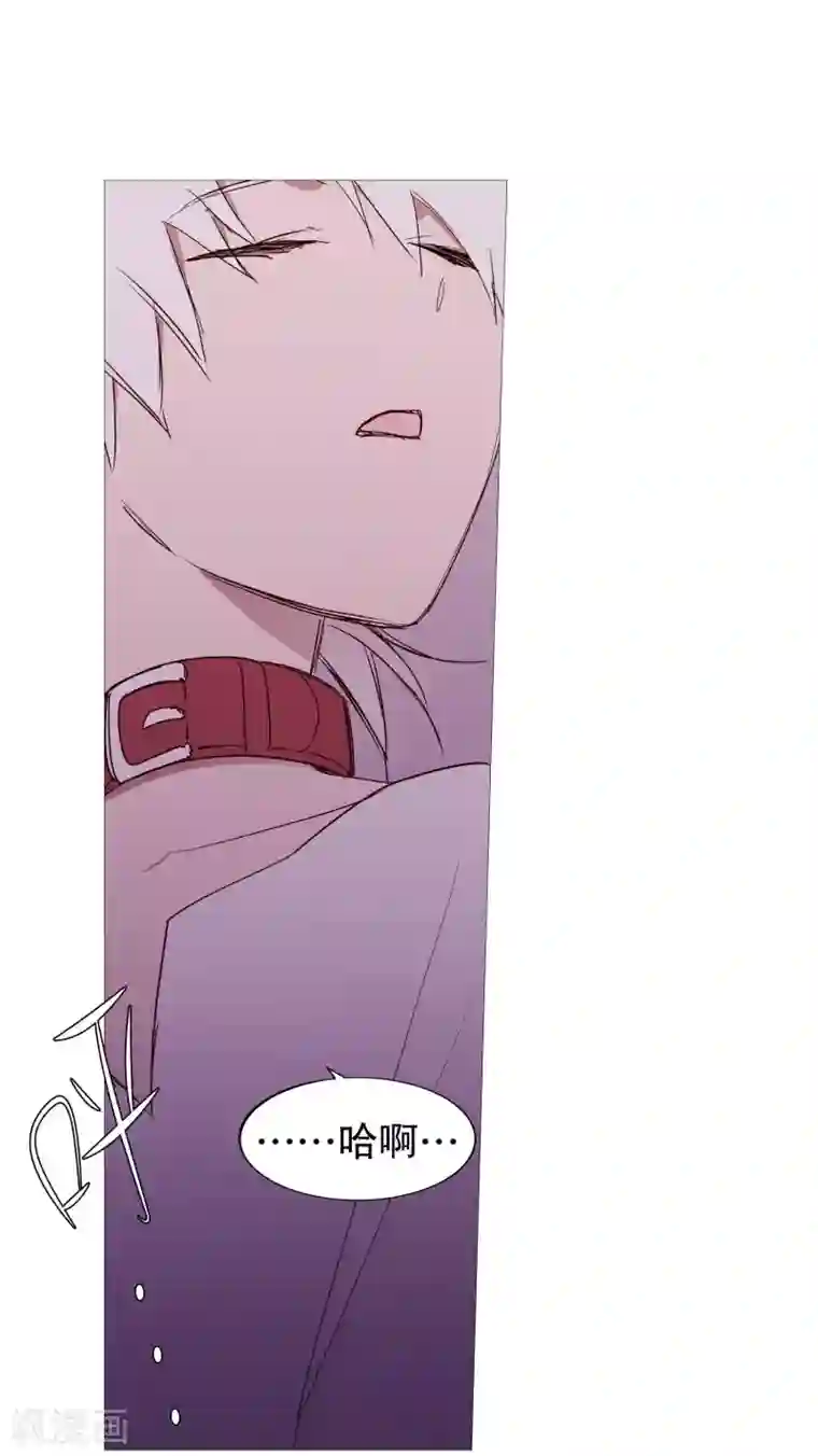 动物灵魂管理局第121话 吞噬