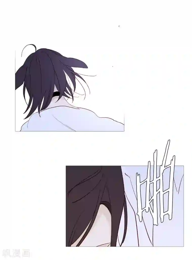 动物灵魂管理局第122话 重逢