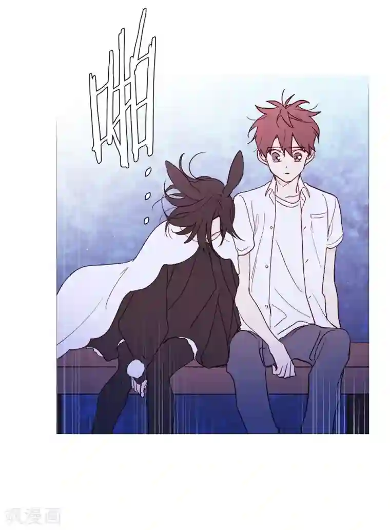 动物灵魂管理局第122话 重逢