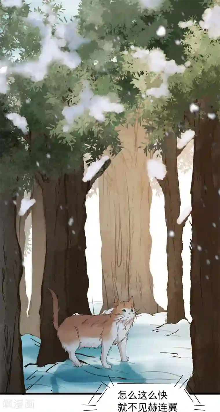 杀手王妃不好惹第57话 她是我的猫