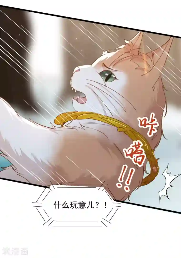 杀手王妃不好惹第57话 她是我的猫