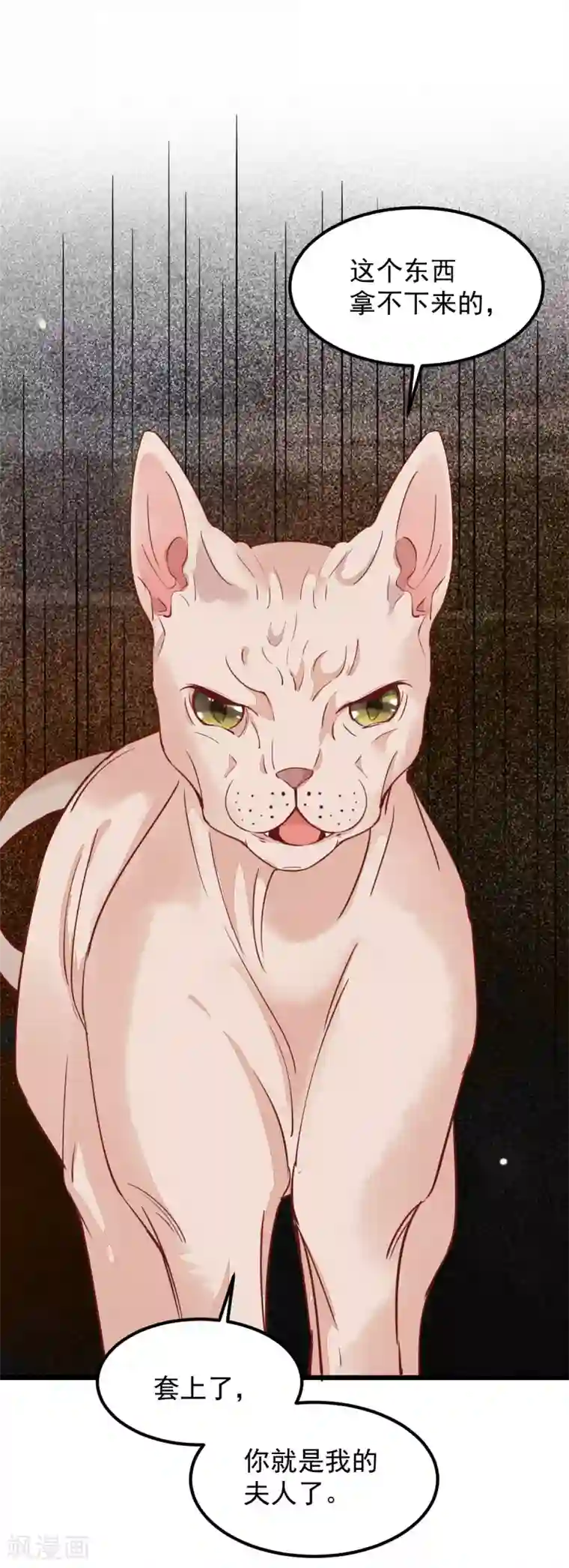 杀手王妃不好惹第57话 她是我的猫