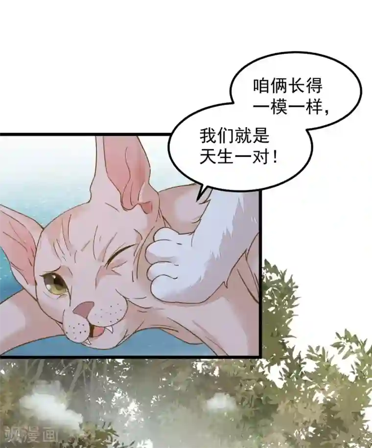 杀手王妃不好惹第57话 她是我的猫