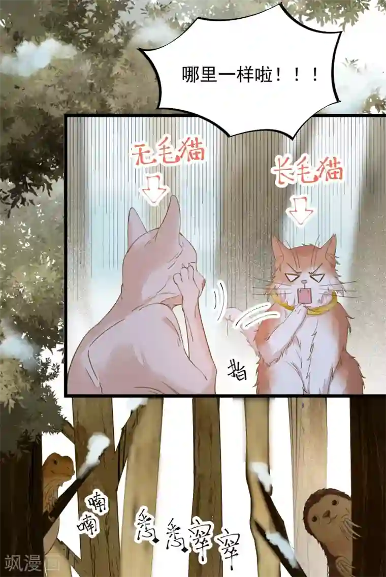 杀手王妃不好惹第57话 她是我的猫