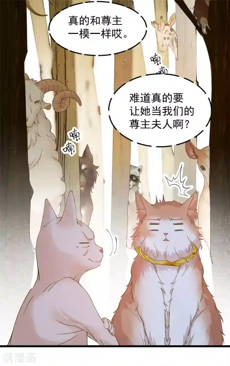 杀手王妃不好惹第57话 她是我的猫