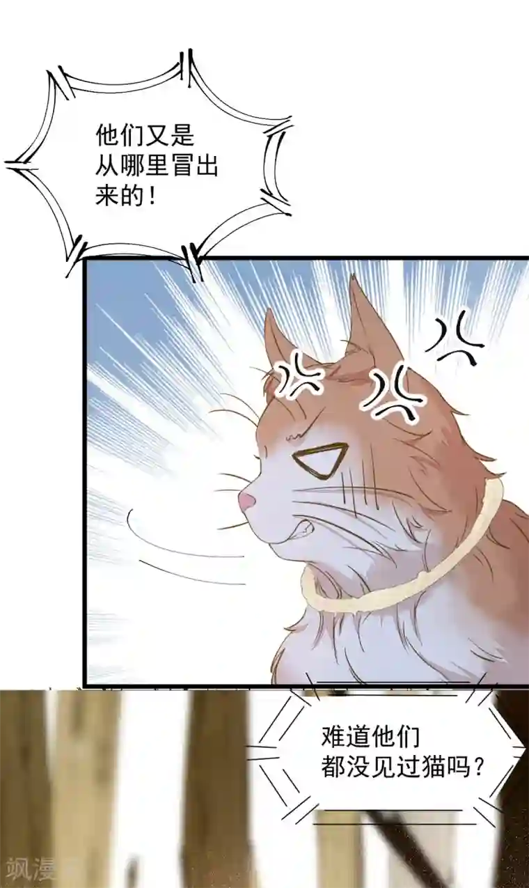 杀手王妃不好惹第57话 她是我的猫