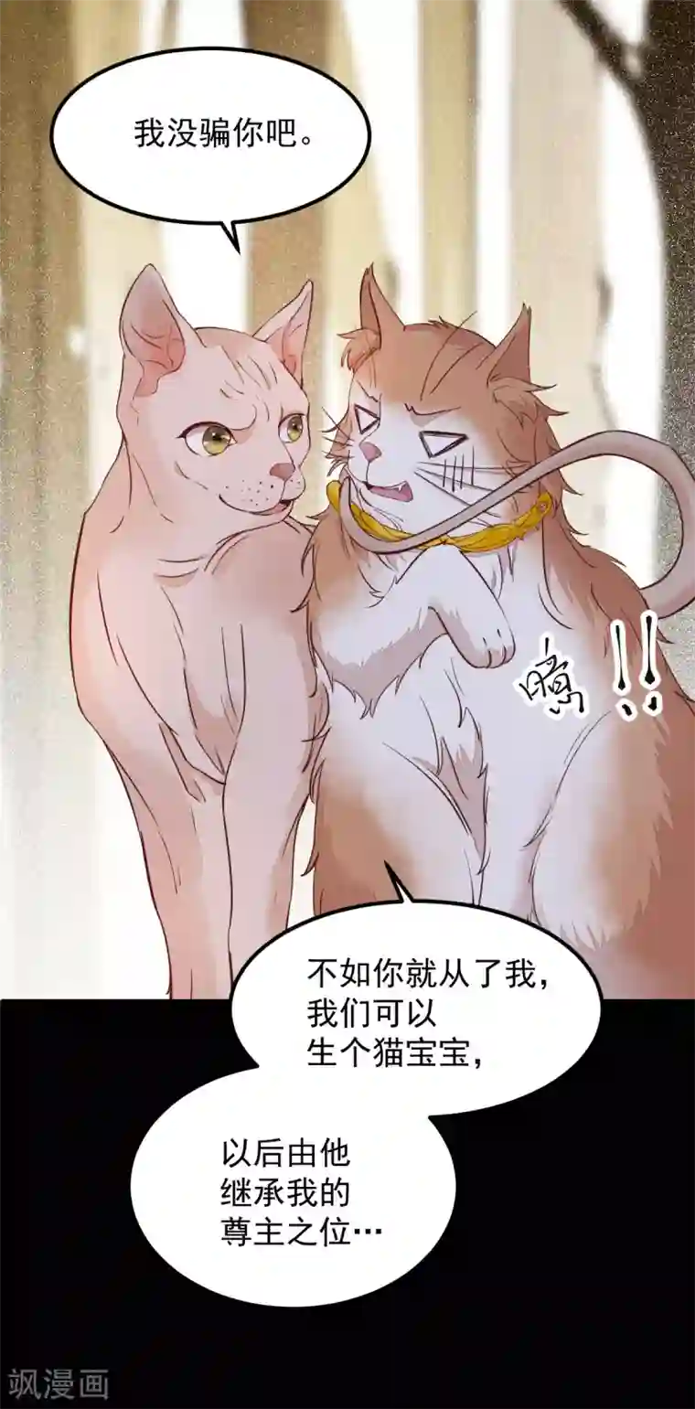 杀手王妃不好惹第57话 她是我的猫
