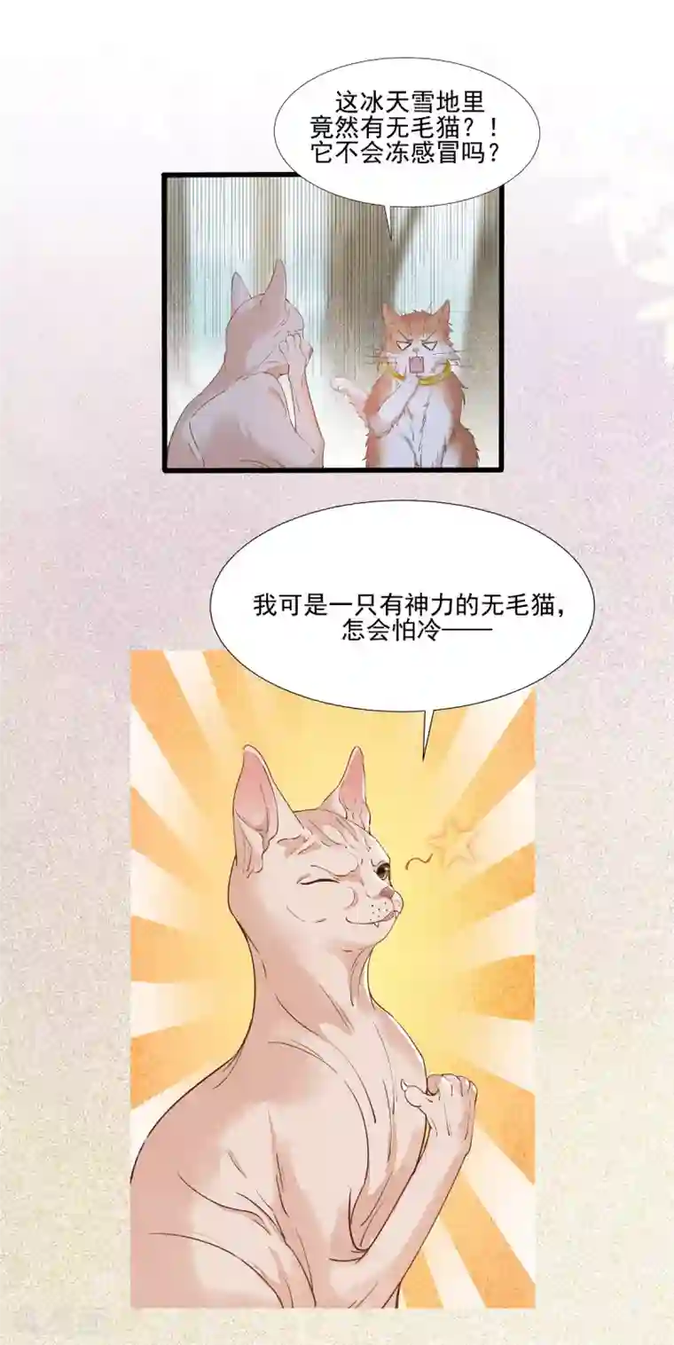 杀手王妃不好惹第57话 她是我的猫