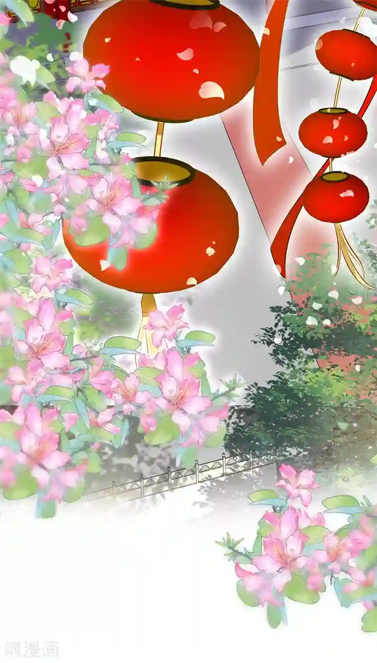 我在异界养男神：神医九小姐第53话 寿宴之日