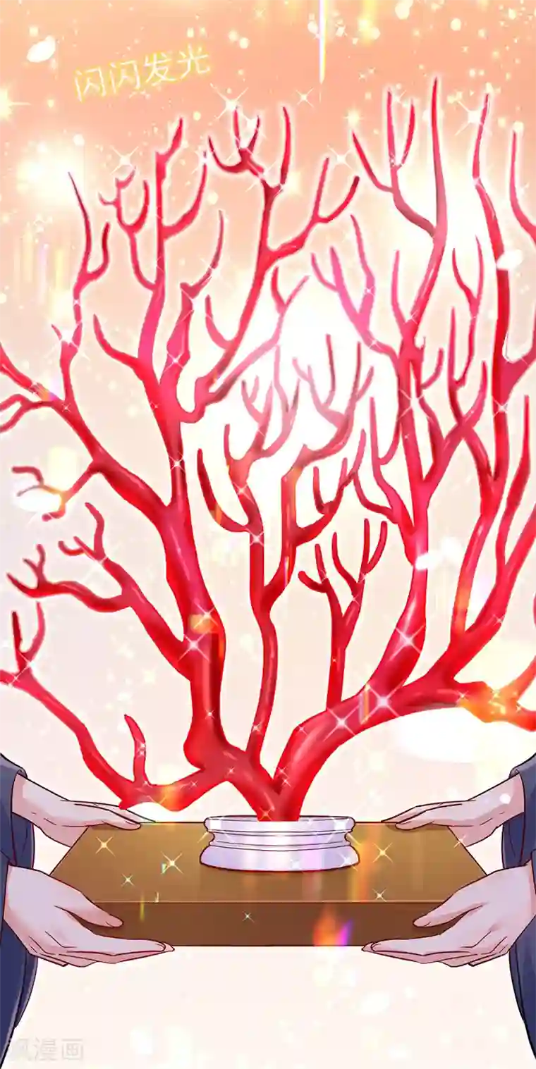 我在异界养男神：神医九小姐第54话 君家历史