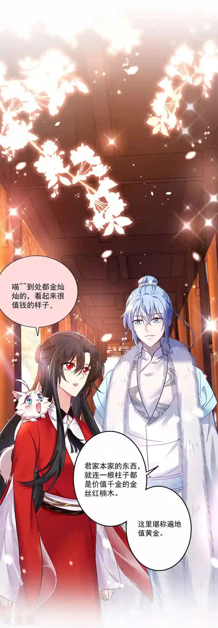 我在异界养男神：神医九小姐第54话 君家历史