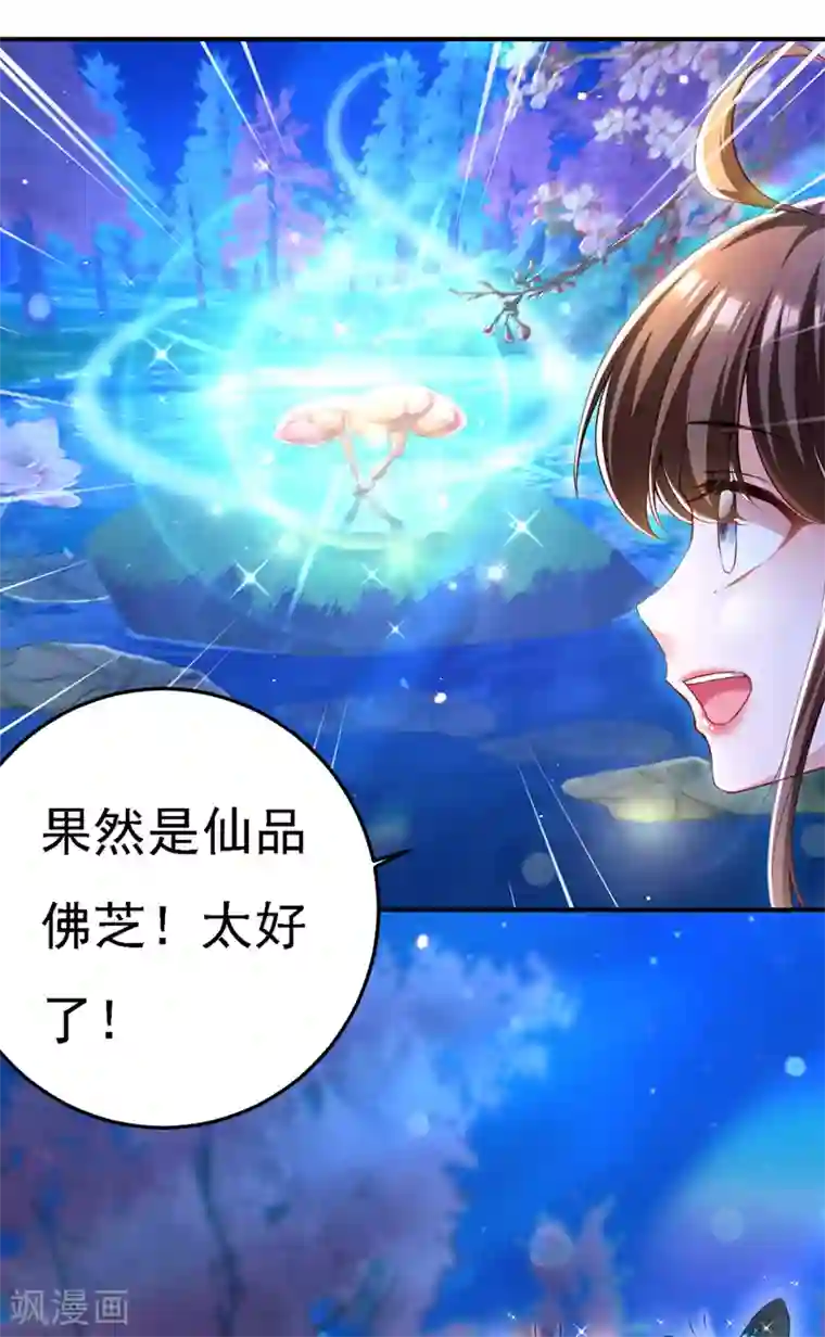 我在后宫当大佬第49话 一个不留