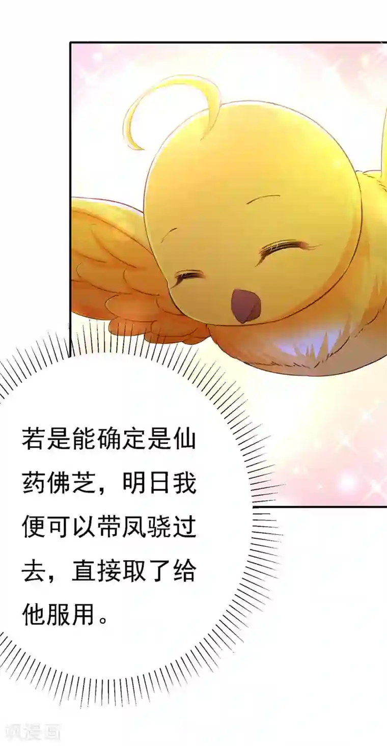 我在后宫当大佬第49话 一个不留