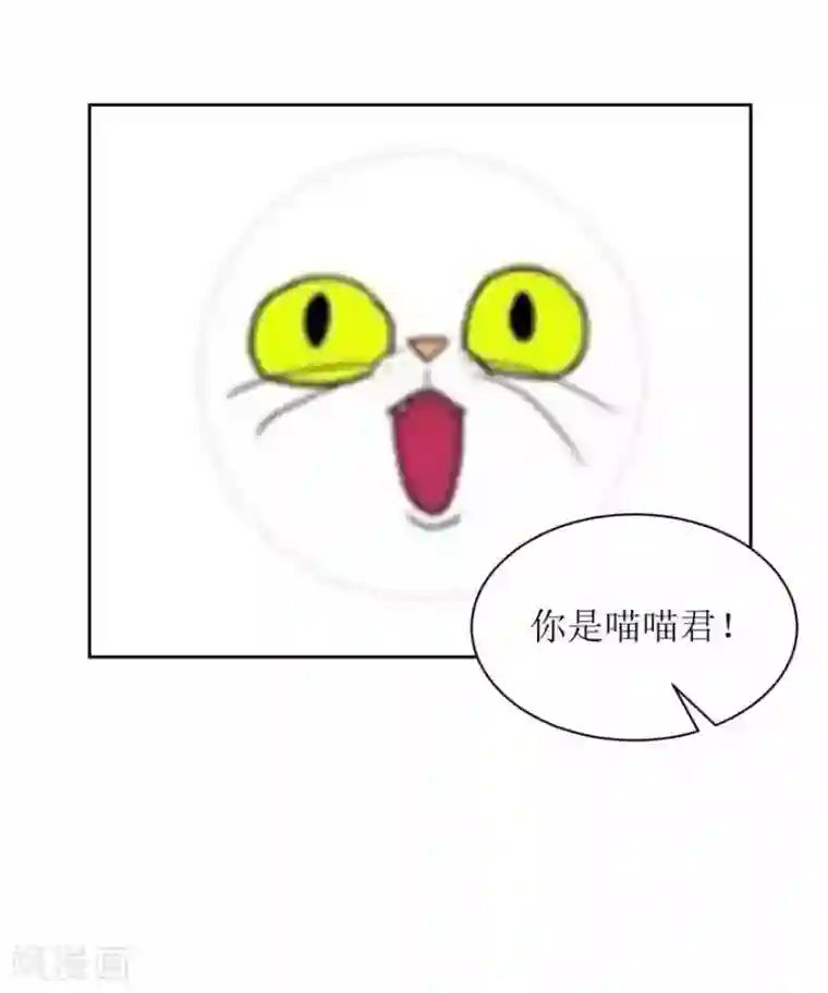 圈地自萌第25话 无巧不成书