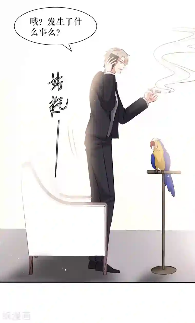 天才酷宝第132话 敲诈