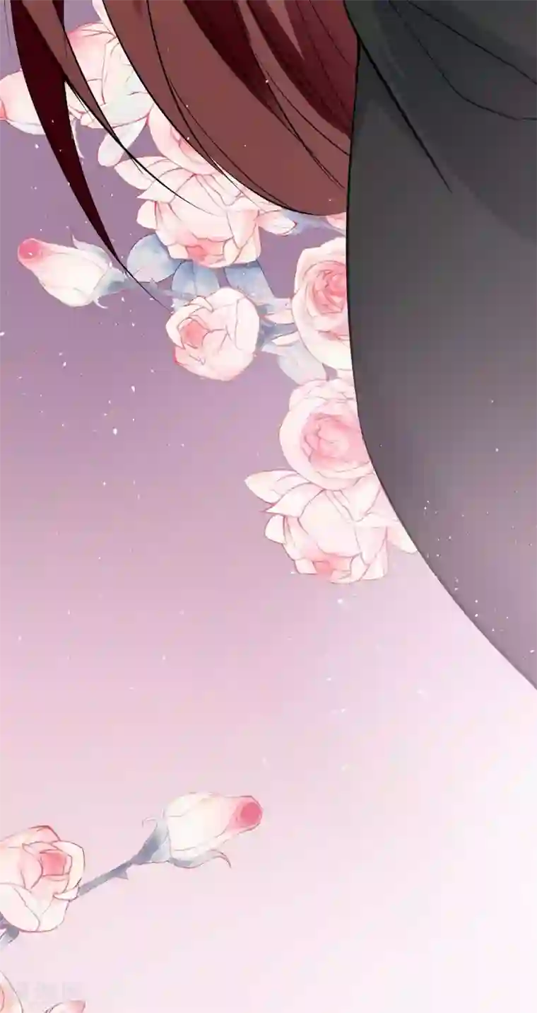 天才酷宝第133话 跟踪