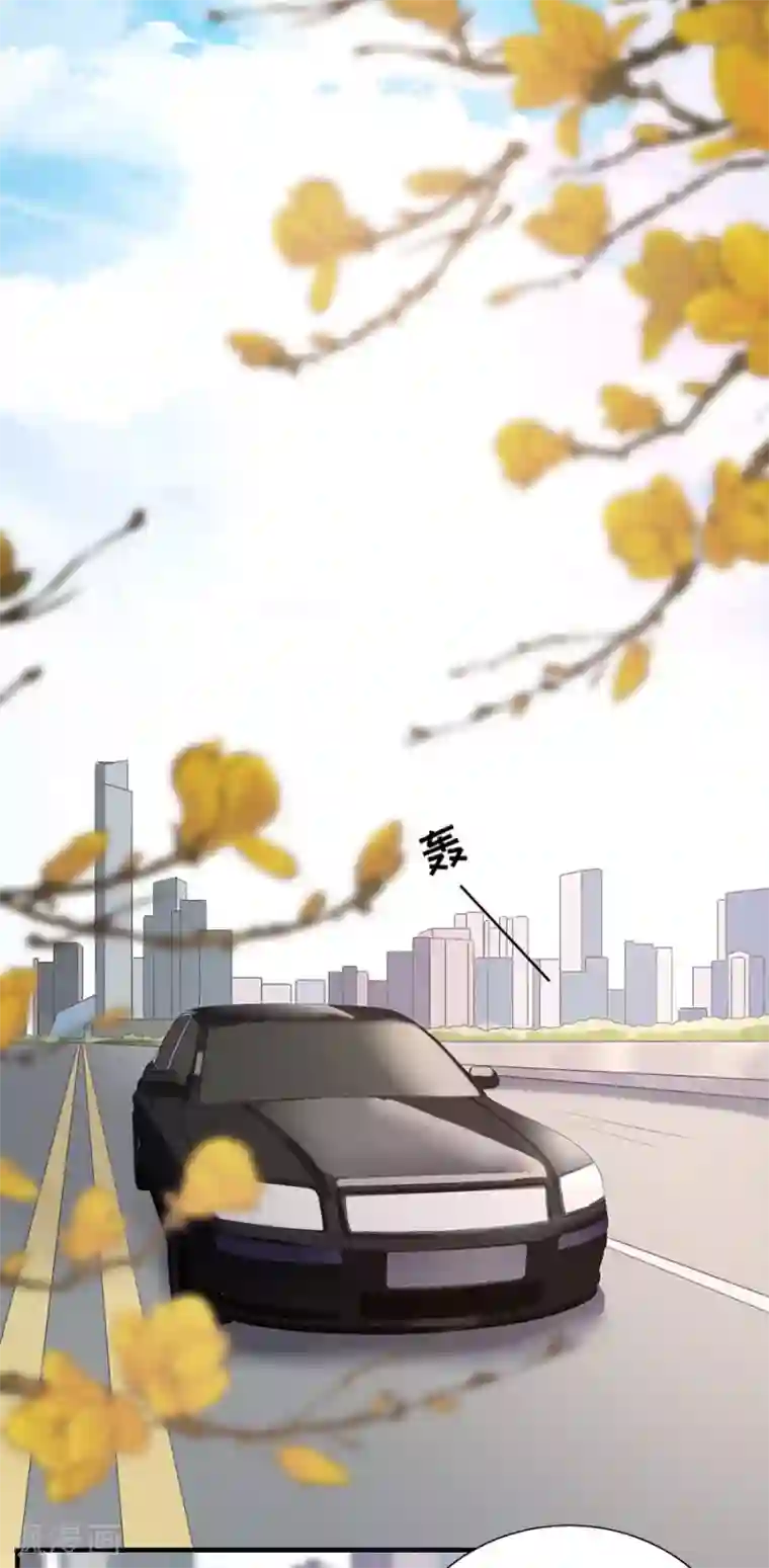 豹系男友的千层套路第151话 怀疑的种子