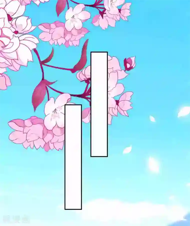 坏心王爷别惹我第221话 公主大婚