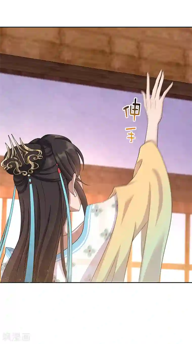 狂女重生：纨绔七皇妃第297话 你这个笨蛋