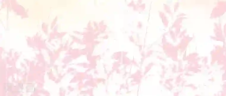 最强桃花运第162话 后宫出征？？？