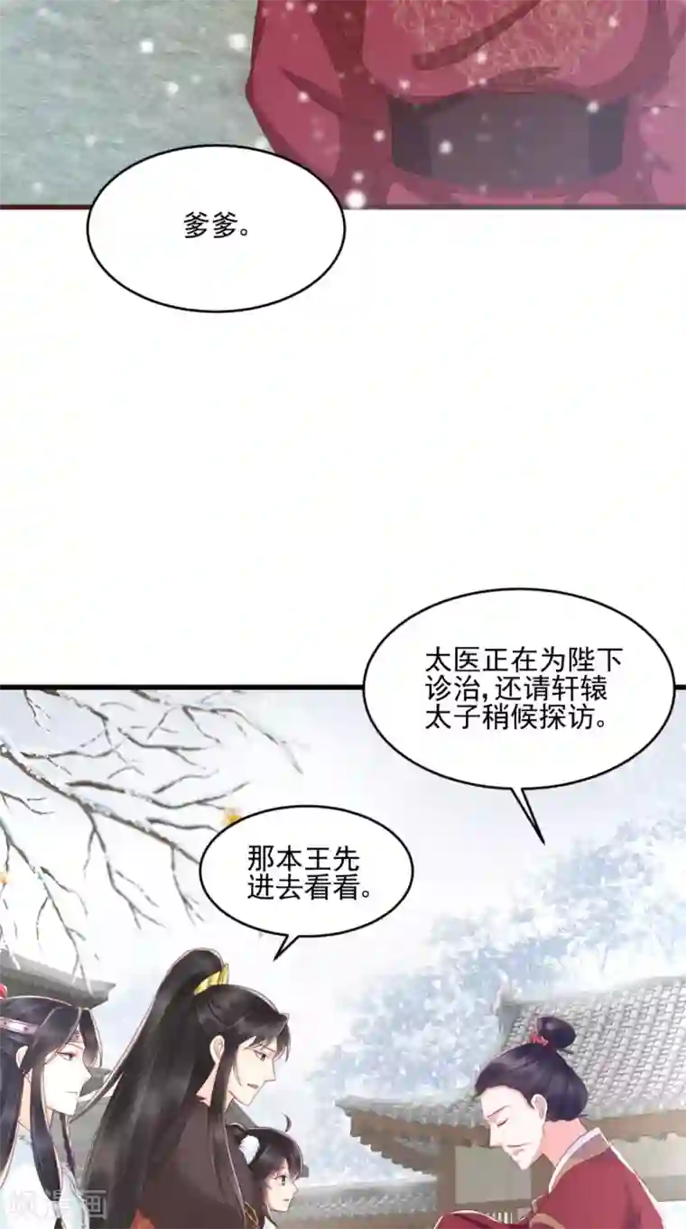 痴傻毒妃不好惹第136话 身世解密