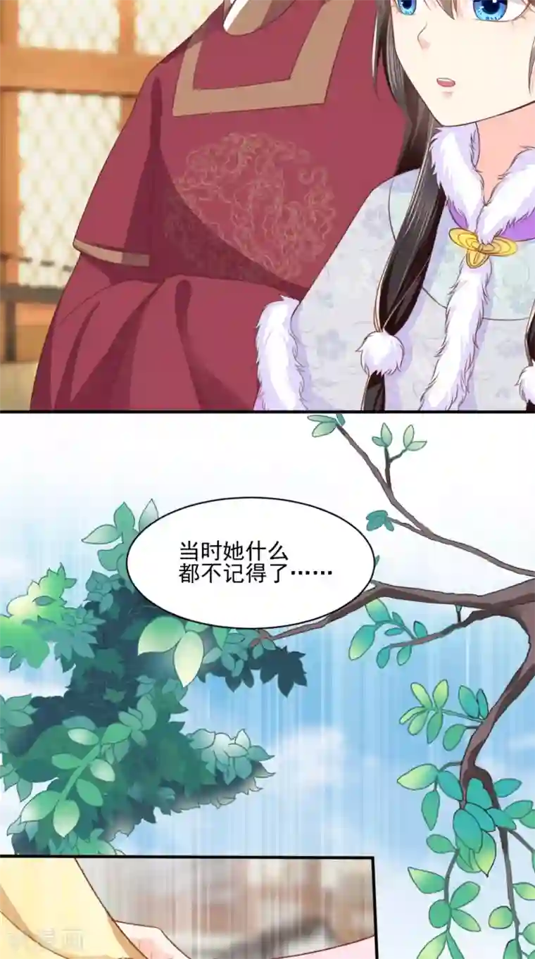 痴傻毒妃不好惹第136话 身世解密