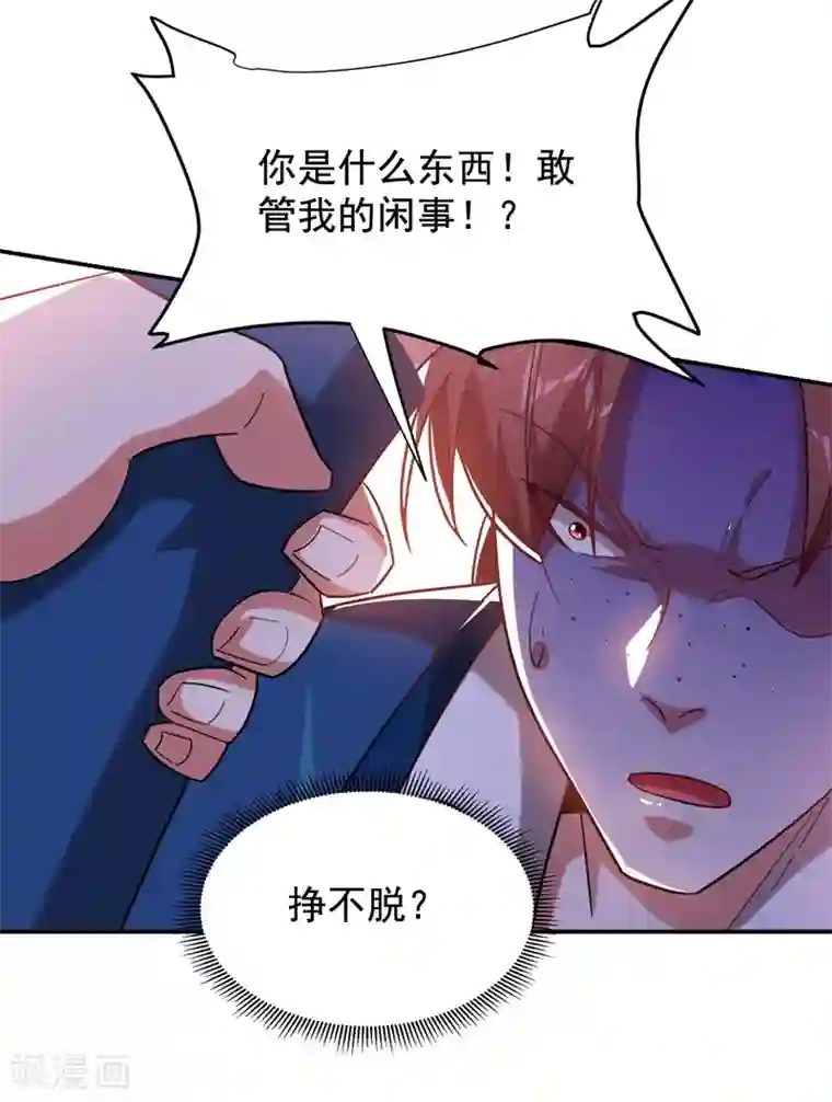 捡个校花做老婆第182话 京城司徒家