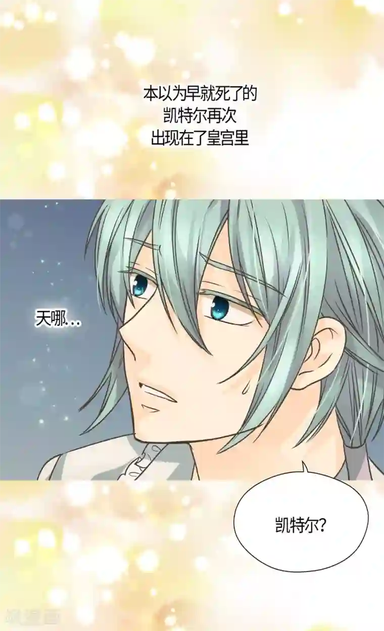 皇帝的独生女第413话 皇帝和宰相，凯特尔和费尔德