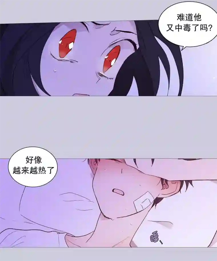 动物灵魂管理局第123话 发热