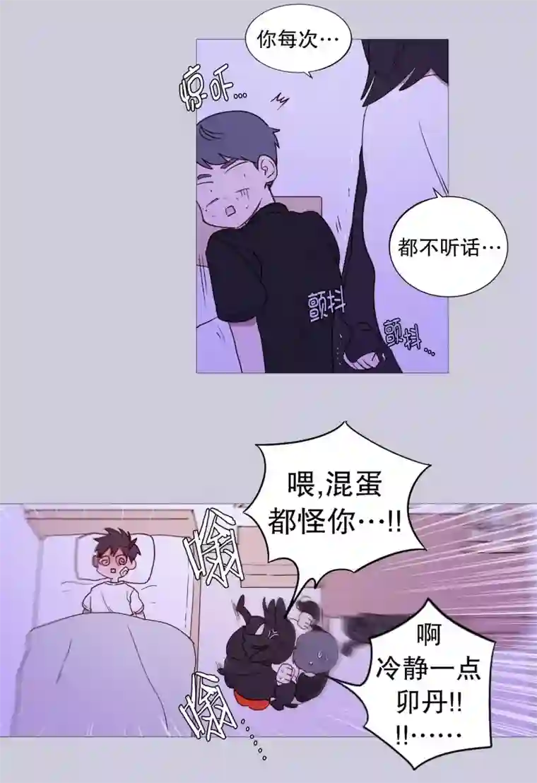 动物灵魂管理局第123话 发热