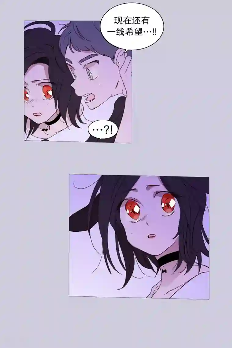 动物灵魂管理局第123话 发热