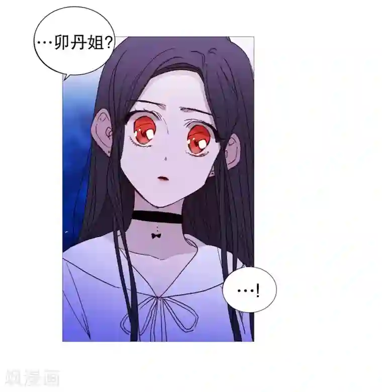 动物灵魂管理局第126话 漂亮姐姐