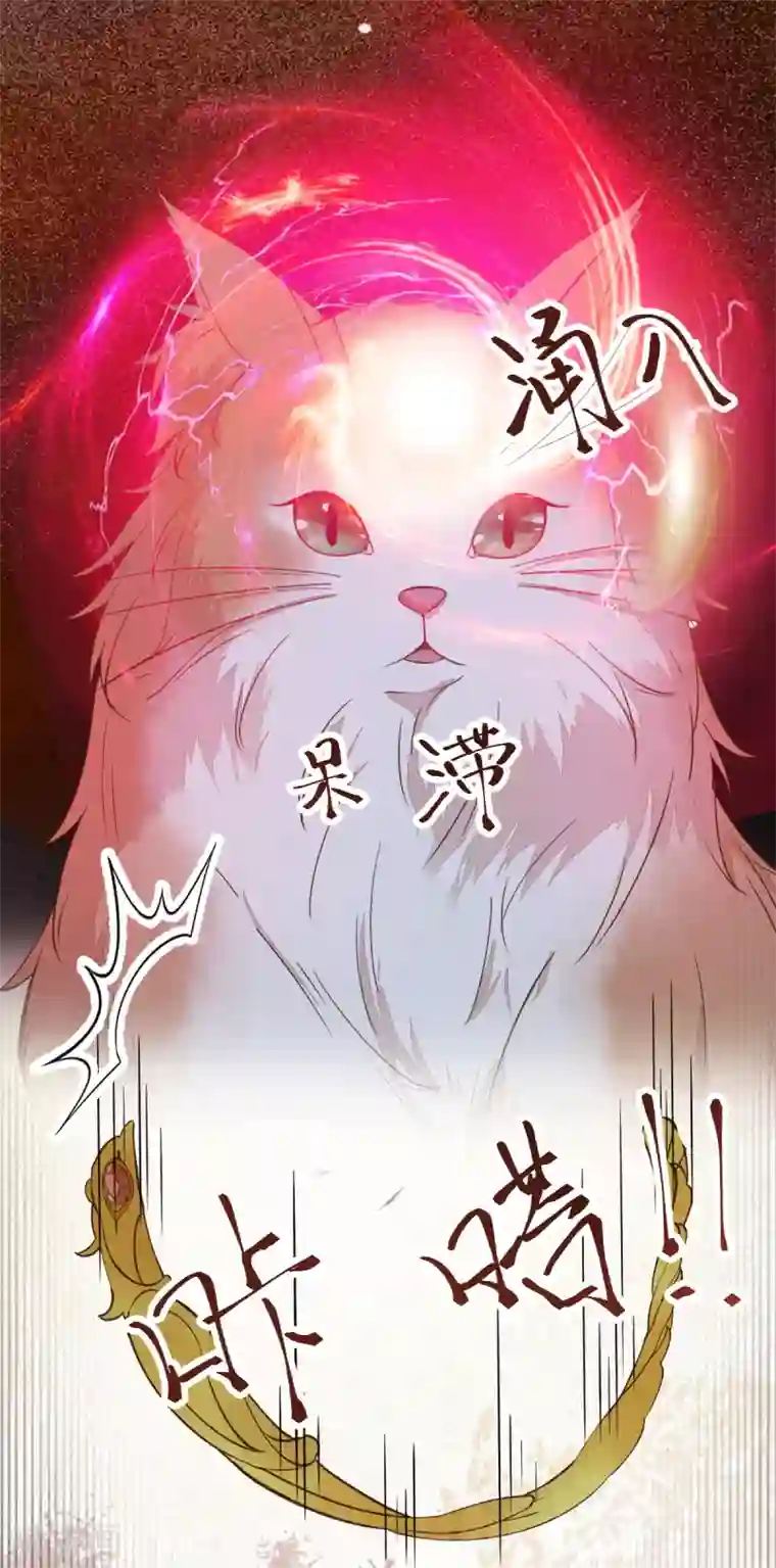 杀手王妃不好惹第59话 开启现代篇