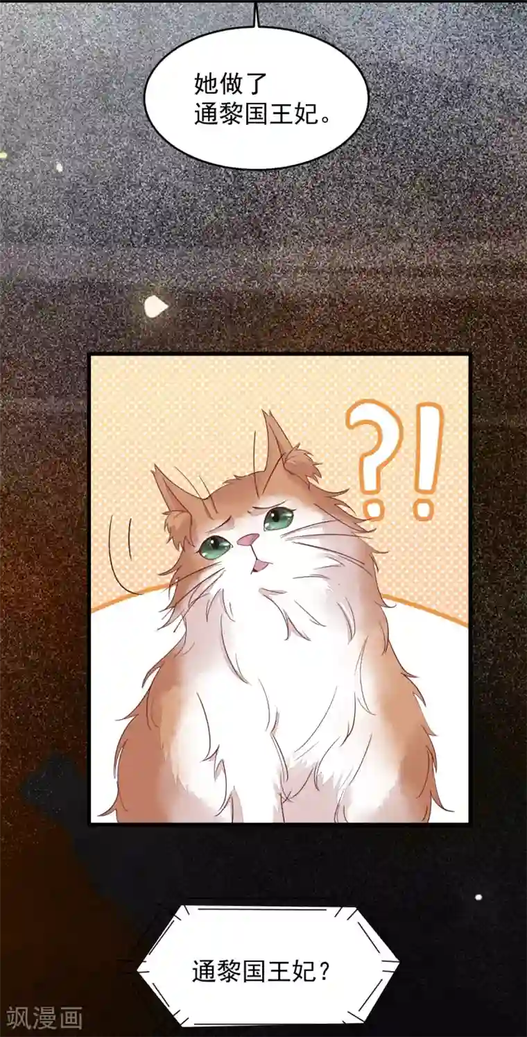 杀手王妃不好惹第60话 现代篇——寻找莫莜莜肉身