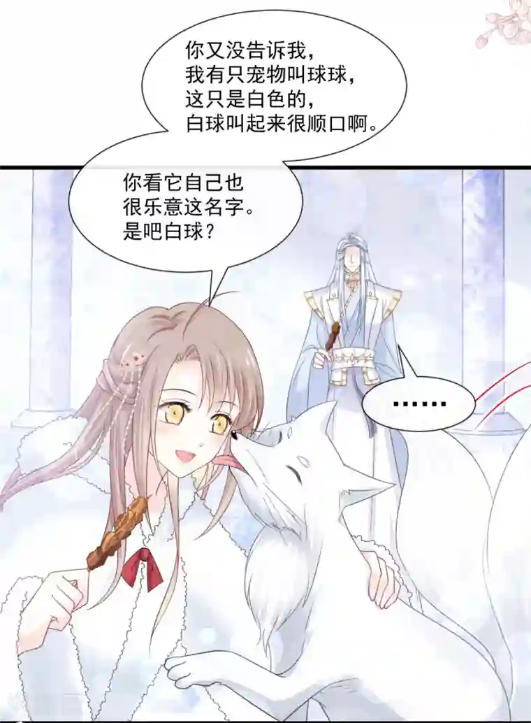 天下第一宠第188话 熟悉的感觉