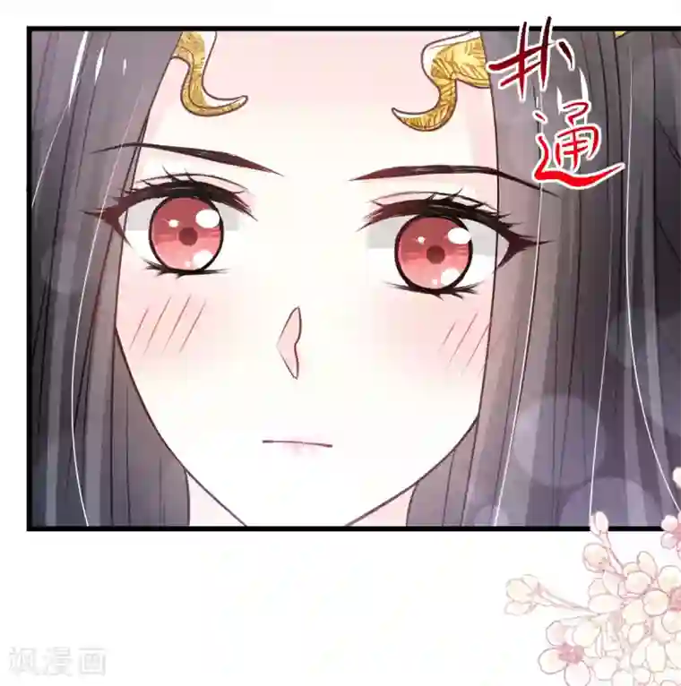 天下第一宠第188话 熟悉的感觉