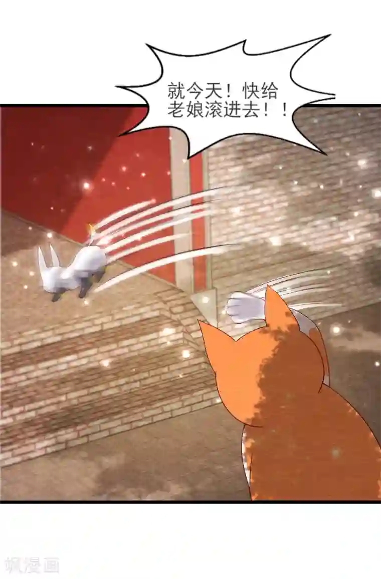 杨戬第24话 回苗家