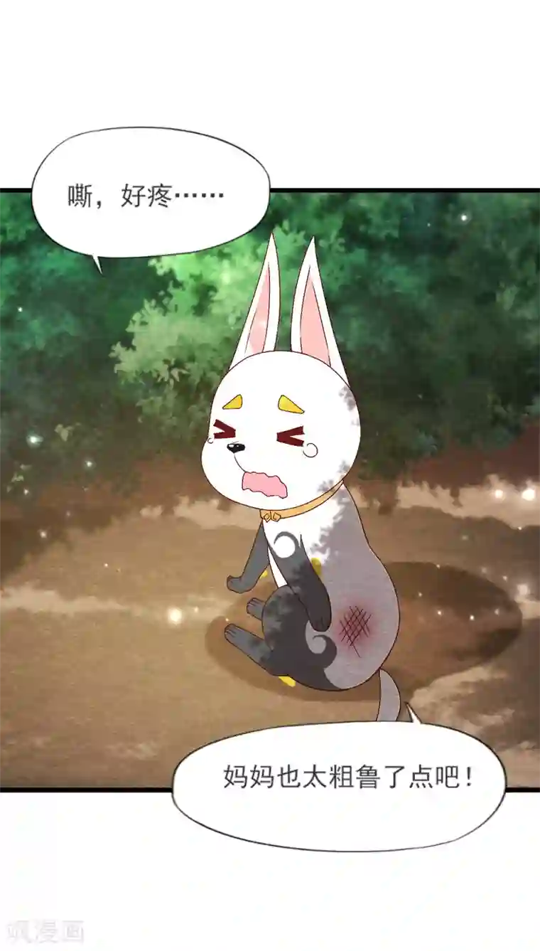 杨戬第24话 回苗家